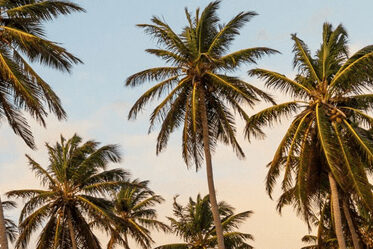 Stack Electric – How Can You Reduce Utility Consumption During Quarantine? Reduce Utility Consumption During Quarantine